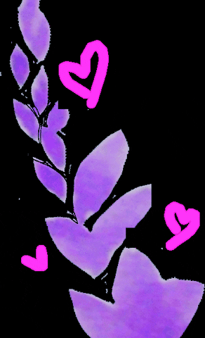 chamomileco giphygifmaker giphygifmakermobile GIF