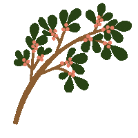 poppydesign branch berries poppydesign Sticker