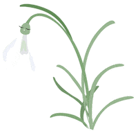 Spring Sticker by poppádesign