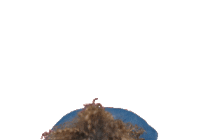 Feeling Myself Curly Hair Sticker