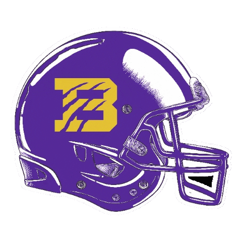 Football College Sticker by Bethel University