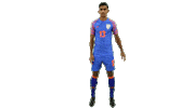 indianfootball bluetigers Sticker by Indian Super League