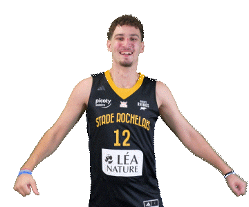 Basket Allard Sticker by Stade Rochelais