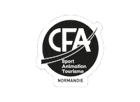 cfasatnormandie  Sticker