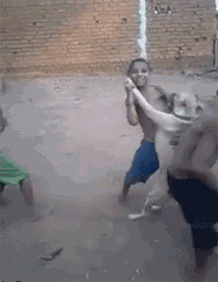 funnys GIF