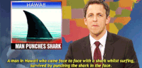 seth meyers snl GIF by Saturday Night Live