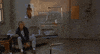 dumb and dumber GIF