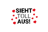 einsteinConcept super toll sketchup siehttollaus Sticker