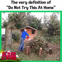ybf! GIF by You've Been Framed!