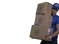 Mwinternational Sticker by elitenutrition2023