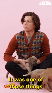 Tom Holland Dog GIF by BuzzFeed