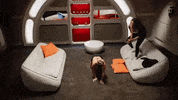 Celebrate Ronda Rousey GIF by Reality Club FOX