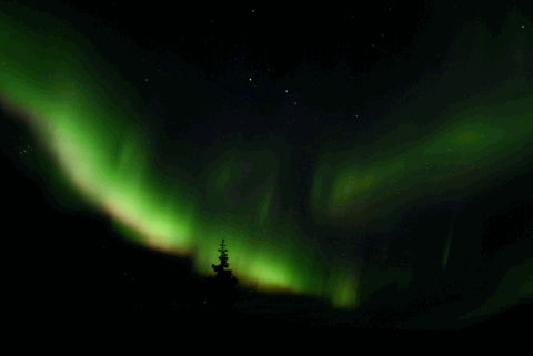 aurora borealis GIF