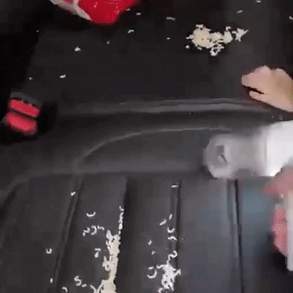 WittyBasket giphyupload GIF