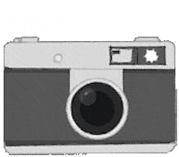 onigiri_salmo photo camera snap カメラ Sticker