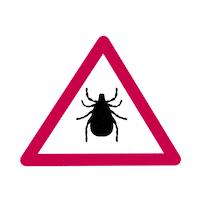 Zecke Sticker by Kleintierpraxis DOCPOX