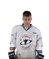 Sport Hokej Sticker by HCSTADION