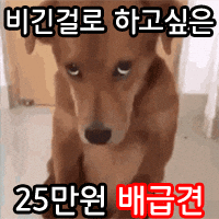 Jamchilla GIF