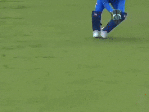 India Mi GIF by Amarillo College