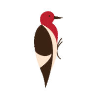 Bird Woody Sticker by Dreamforce & Salesforce Events