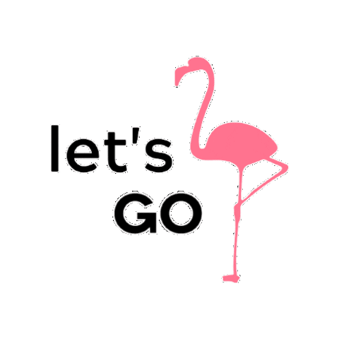 FlaminGOexperiences giphygifmaker lets go flamingo flamingo experiences Sticker