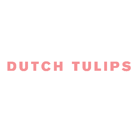 dutchtulips text morph double visions dutch tulips Sticker