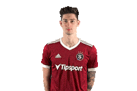 Logo Acsparta Sticker by AC Sparta Praha