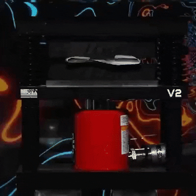 borovision giphyupload GIF