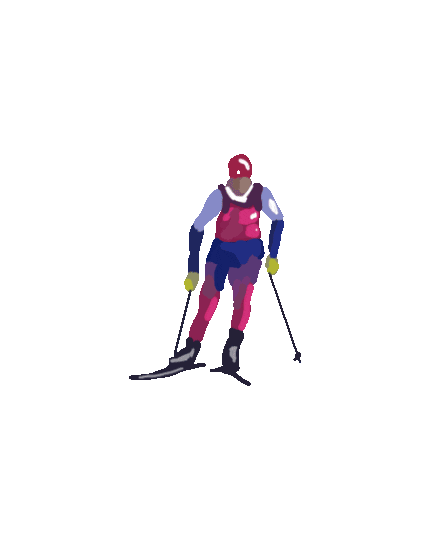 Sport Ski Sticker by diffrent design