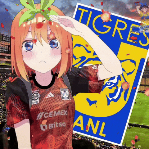 Tigres Uanl Girl GIF