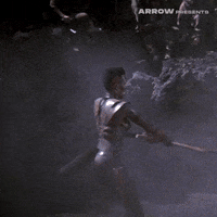 Arnold Schwarzenegger Film GIF by Arrow Video