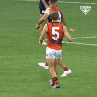 Celebrate Aussie Rules GIF by Essendon FC