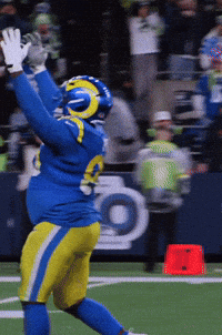Celebrate Los Angeles Rams GIF