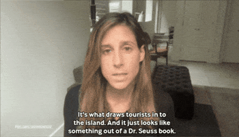 Trees Yemen GIF by PBS News