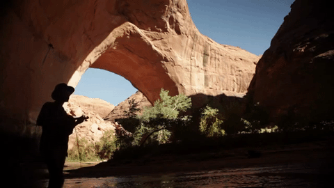 andrewbird GIF by NOWNESS