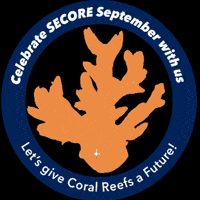 Non Profit Ocean GIF by SECORE international Inc.