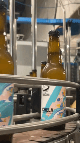 GIF by La Nébuleuse