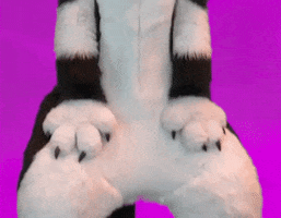 Furrie Dancing GIF by Minky Mom