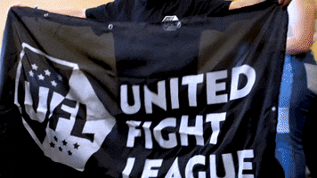 Ufc Mma GIF by United Fight League