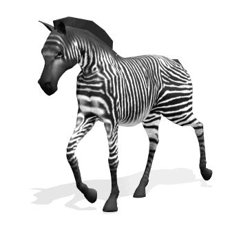 zebra GIF
