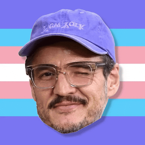 Pedro Pascal Queer GIF by Anne Horel