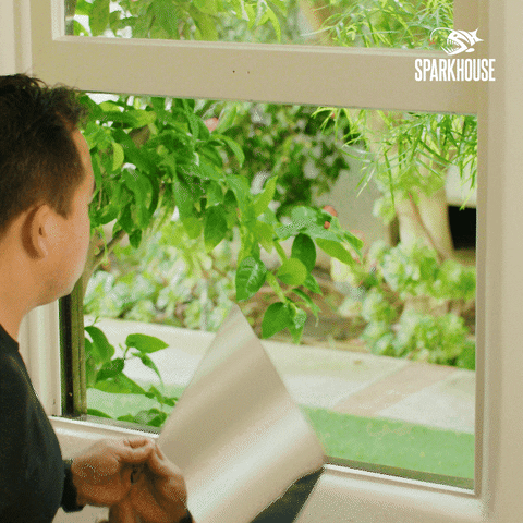 Looking In The Mirror GIF by TheSparkhouse