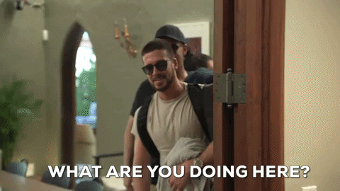 Episode 11 Vin GIF by Jersey Shore Family Vacation