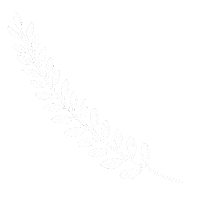 Leaf Accent Sticker