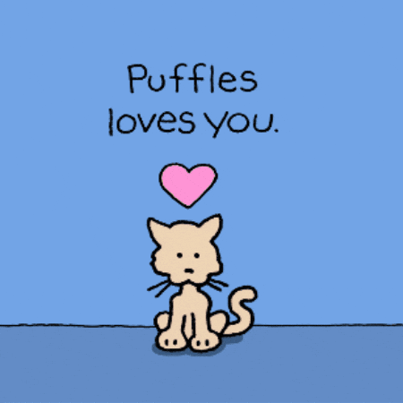April Fools Dogs GIF by Chippy the Dog