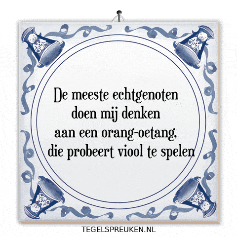 Humor Nl GIF by Tegelspreuken.nl