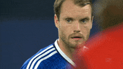 Soccer S04 GIF by FC Schalke 04