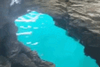 Going In Swimming GIF by Bermemes