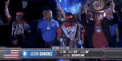 toprank giphyupload fight boxing fighting GIF