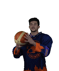 Sport Basketball Sticker by HCSTADION